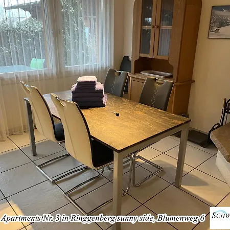 Schwizi's Apartament Ringgenberg