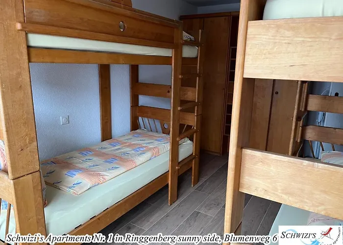 思维茨公寓酒店 公寓 *