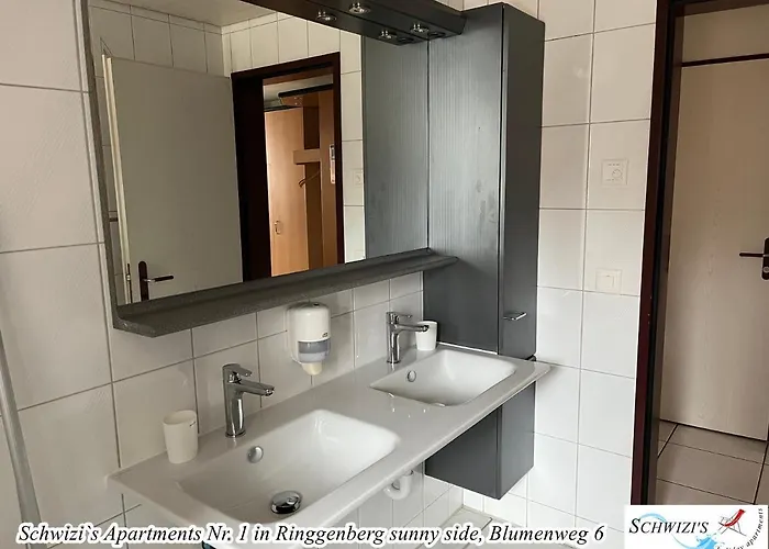 思维茨公寓酒店 公寓 *