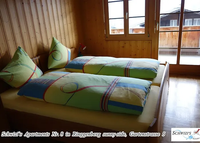 思维茨公寓酒店 公寓 里根伯格