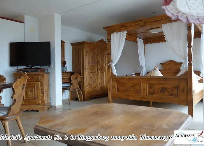 思维茨公寓酒店 *