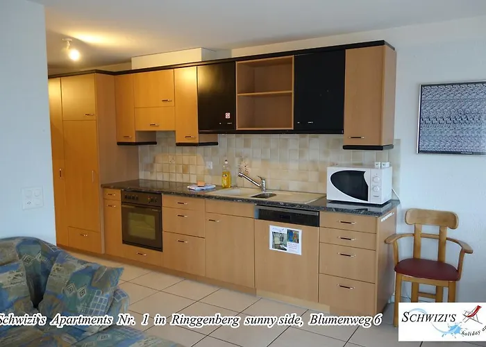 思维茨公寓酒店