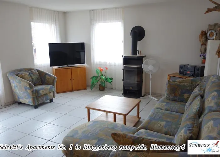 思维茨公寓酒店 里根伯格