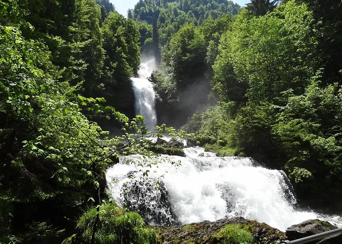 Schwizi's * Ringgenberg