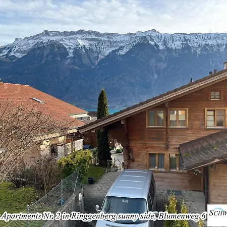 Schwizi's Apartment Ringgenberg