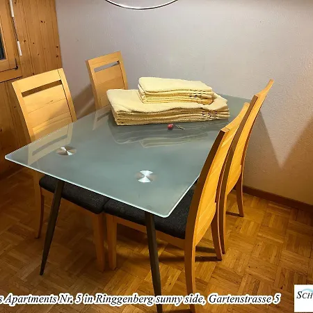 Apartment Schwizi's Ringgenberg