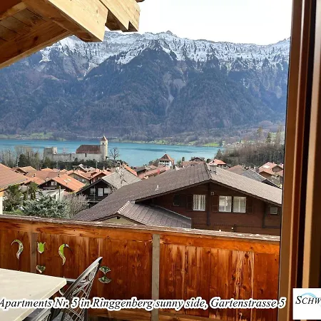 Apartment Schwizi's *