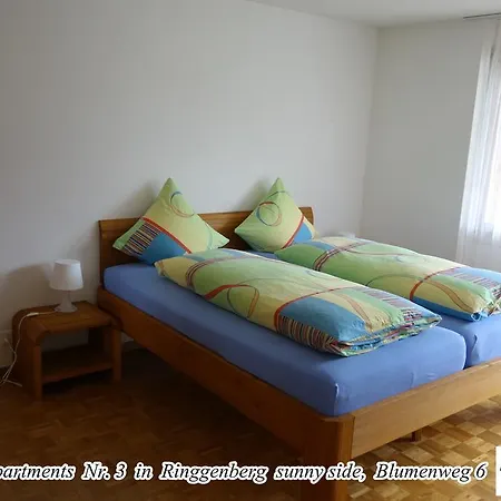 Schwizi's Apartment Ringgenberg