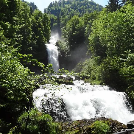 Schwizi's * Ringgenberg