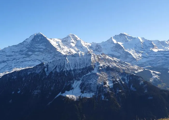 Apartment Schwizi's Ringgenberg